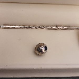 Pandora Star charm